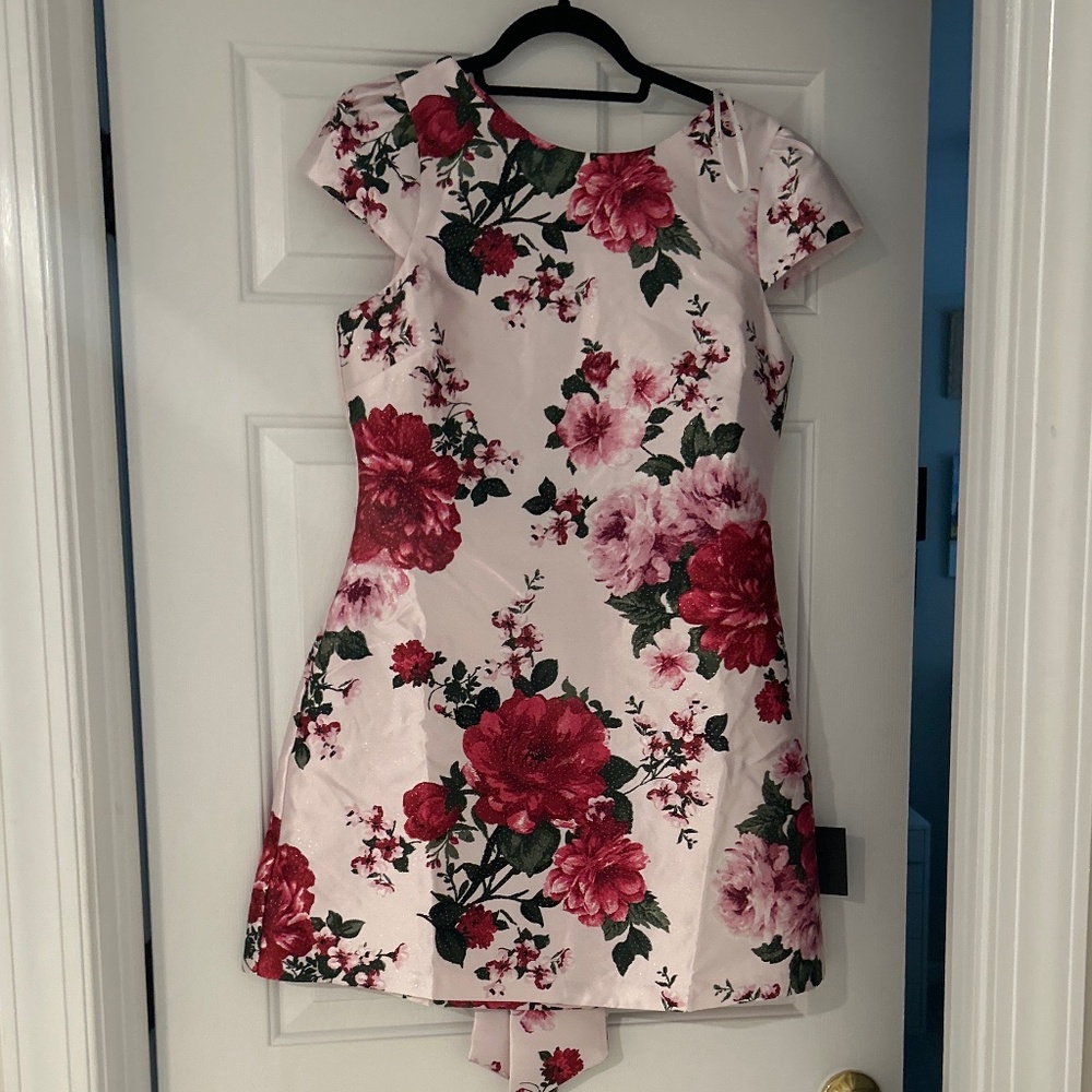 Lulu's Pink Floral Mini Dress with Red & Green Accents